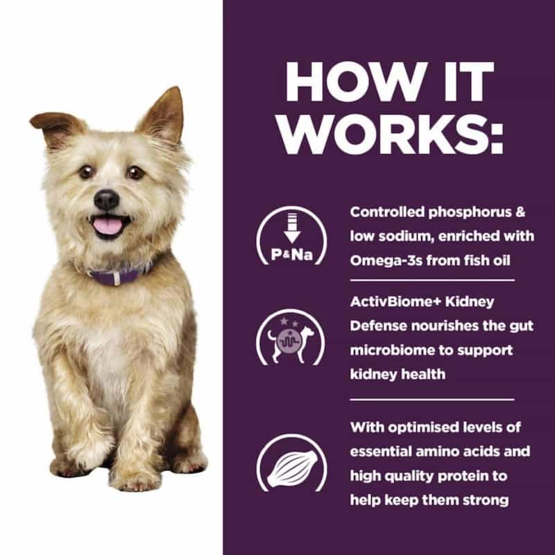 Dog with a purple collar on a white background next to text about a pet product's benefits.