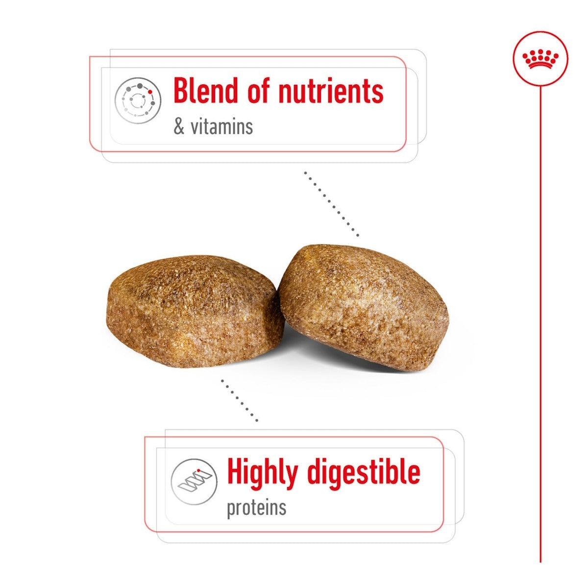 Two brown pet treats with text about nutrients, vitamins, and digestible proteins on a white background.