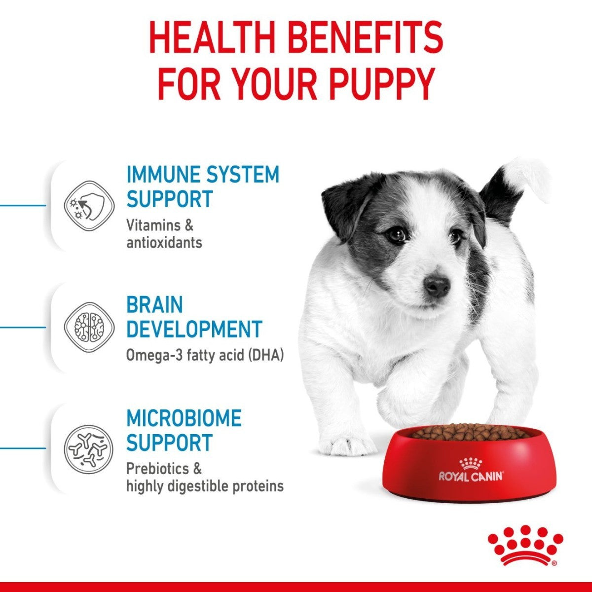 Royal Canin puppy food with health benefits text and a puppy image on a white background