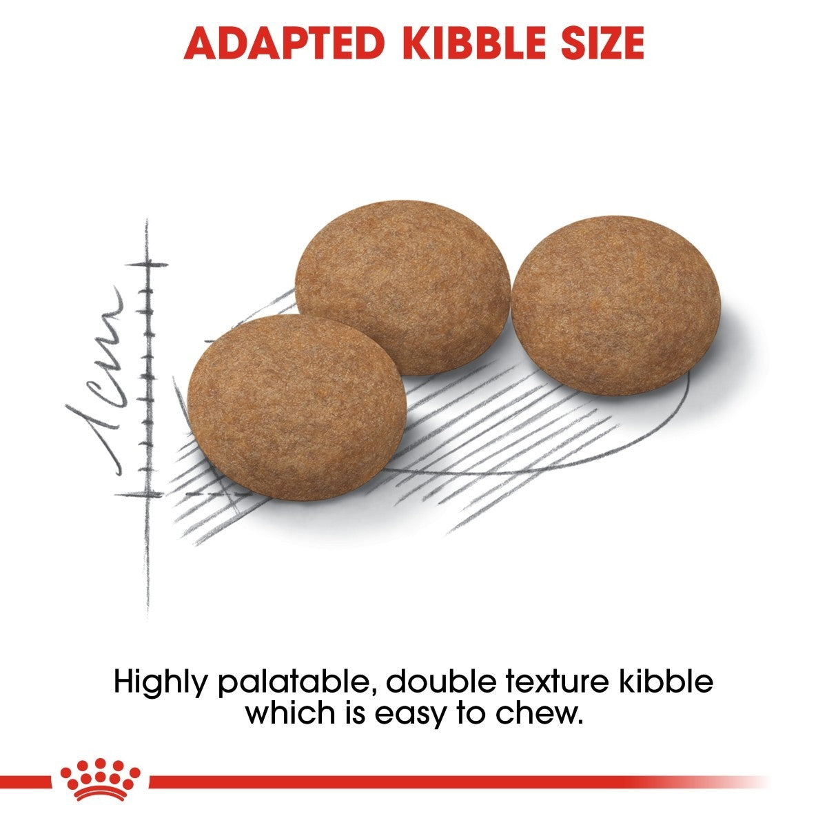 Three brown kibble pieces with a ruler and text about adapted kibble size on a white background.