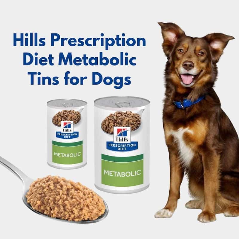 Hills Prescription Diet Metabolic Tins for Dogs with a dog sitting next to them on a white background.