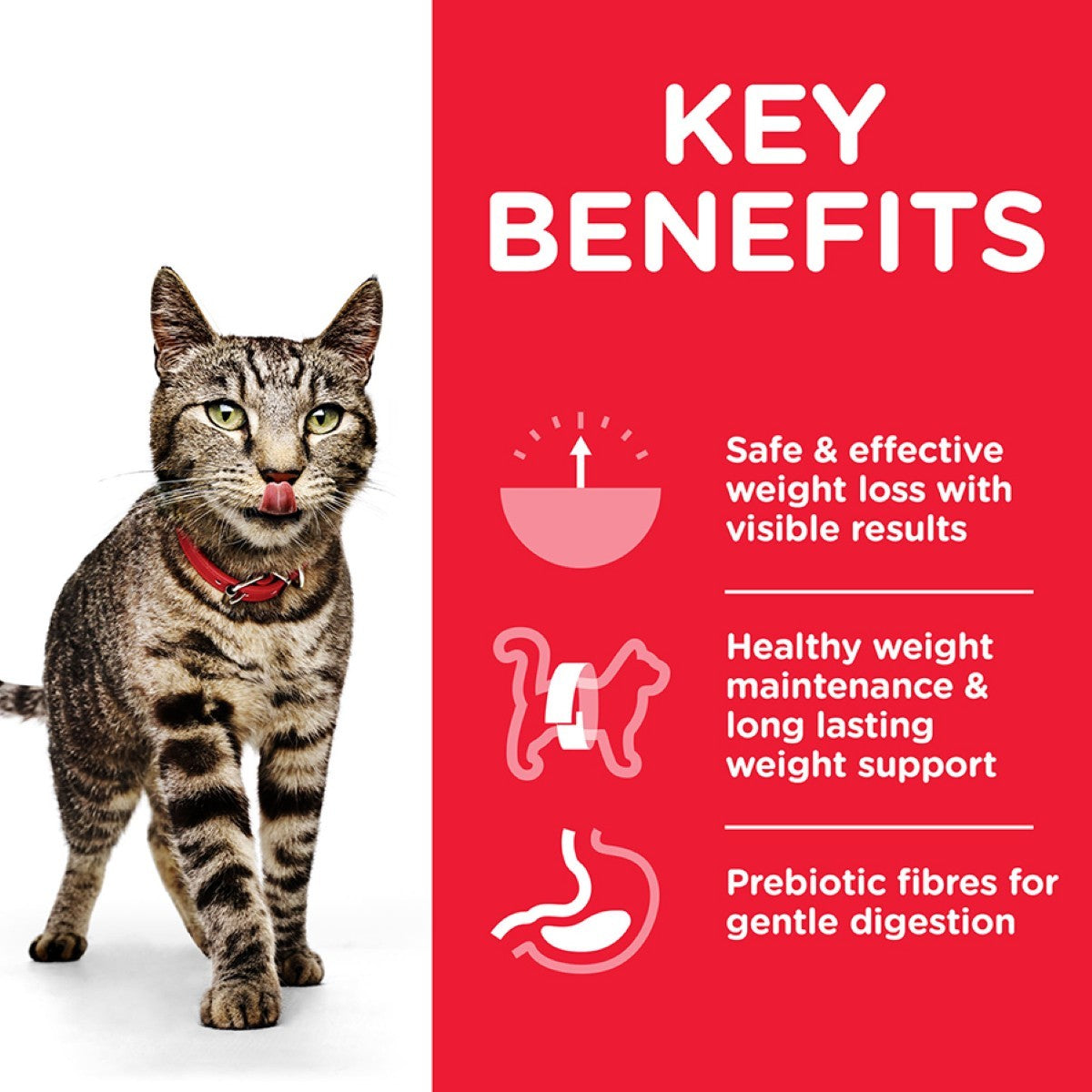 Cat with a red collar on a white background next to a red 'Key Benefits' panel.