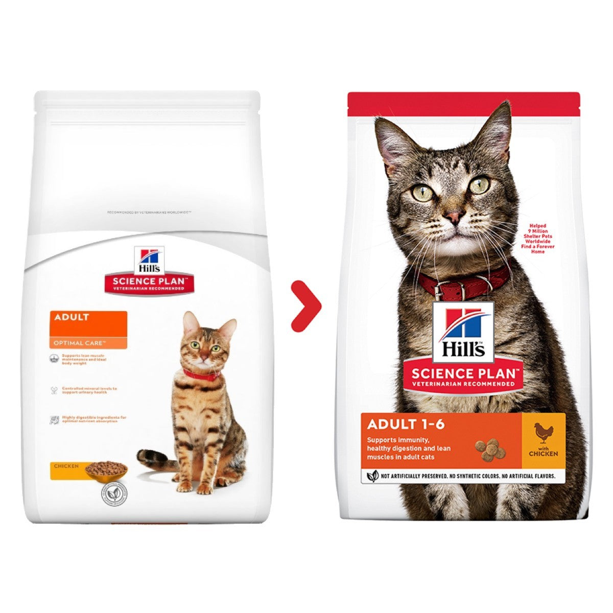 Hill’s chicken cat kibble