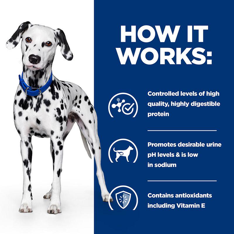 Special care dog food