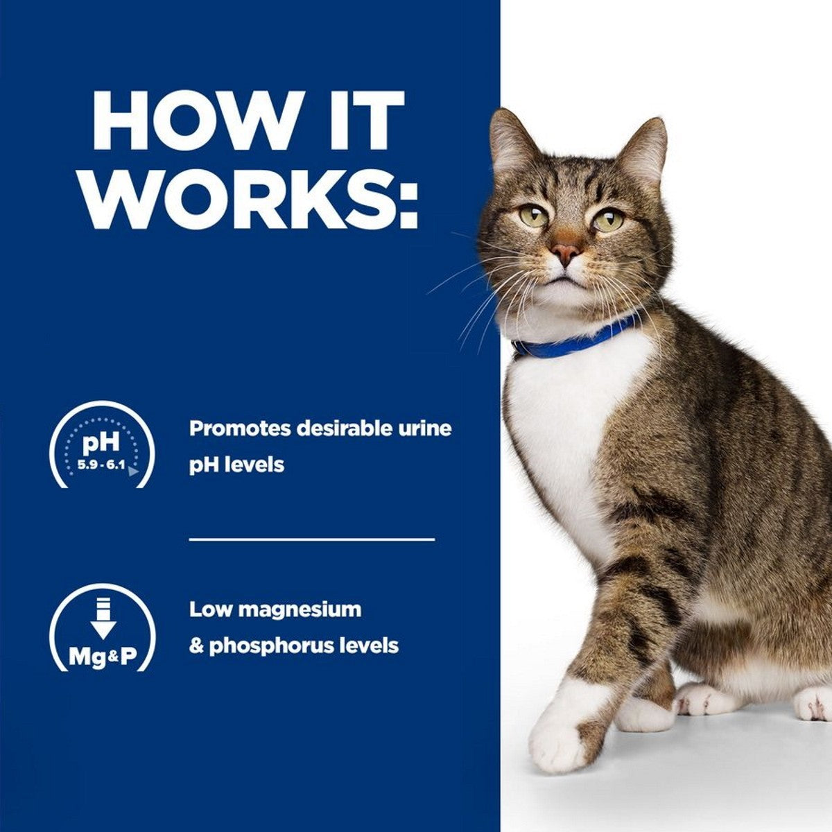 Hill’s vet cat stew