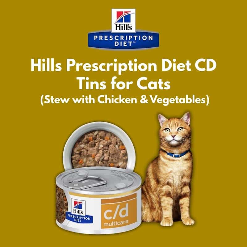Hills Prescription Diet cat food can with a cat on a yellow background