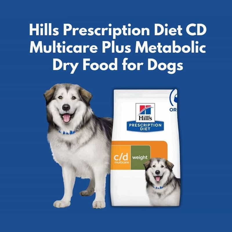 Hills Prescription Diet CD Multicare Plus Metabolic dry food for dogs with a dog on a blue background