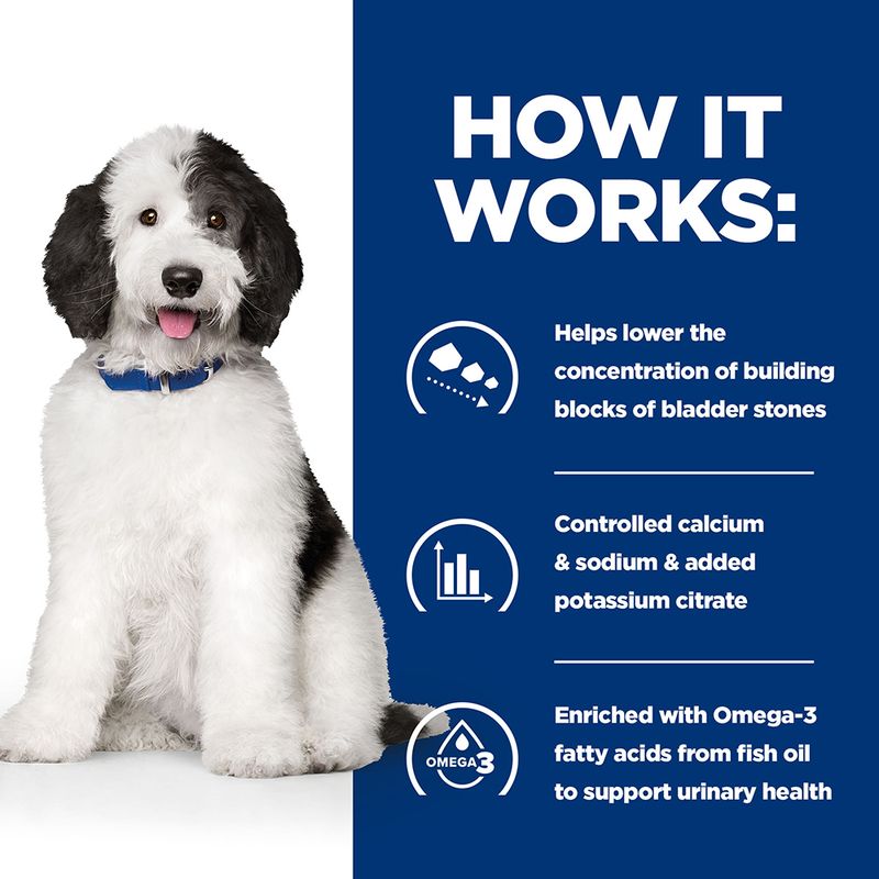 Dog with a blue background and text about bladder stone prevention
