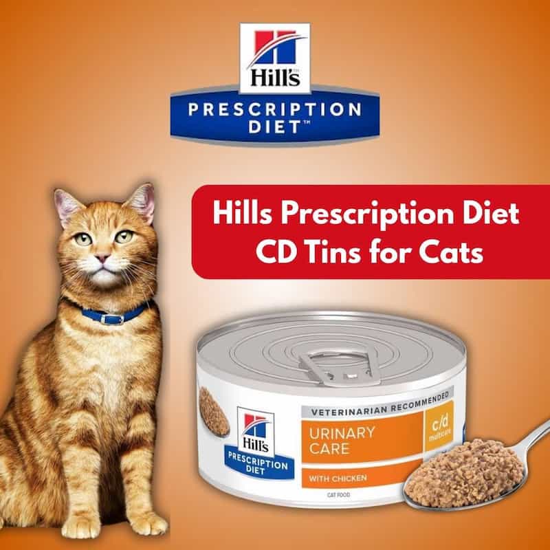 Hills Prescription Diet cat food can with a cat on an orange background