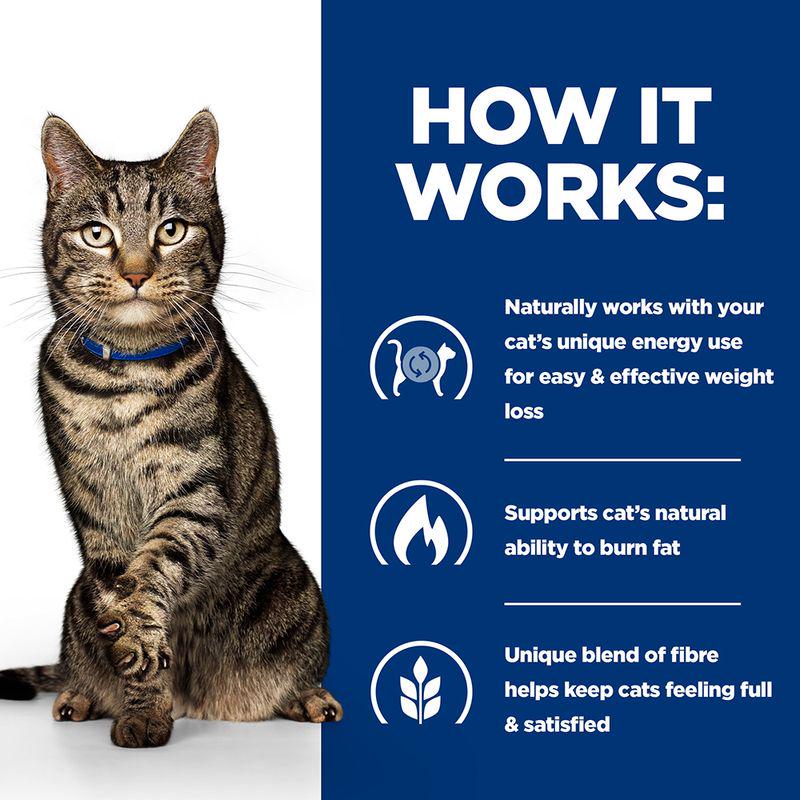 Weight management cat diet