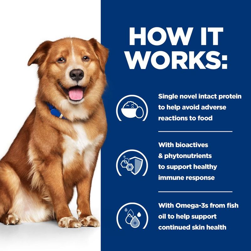 Dog with text explaining a dietary supplement for dogs on a blue background