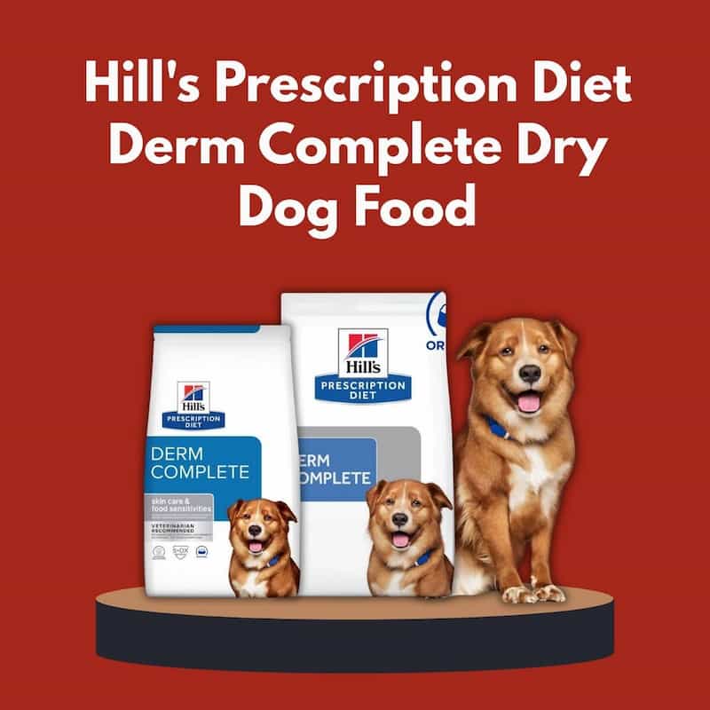 Hill's Prescription Diet Derm Complete dry dog food packages with a dog on a red background