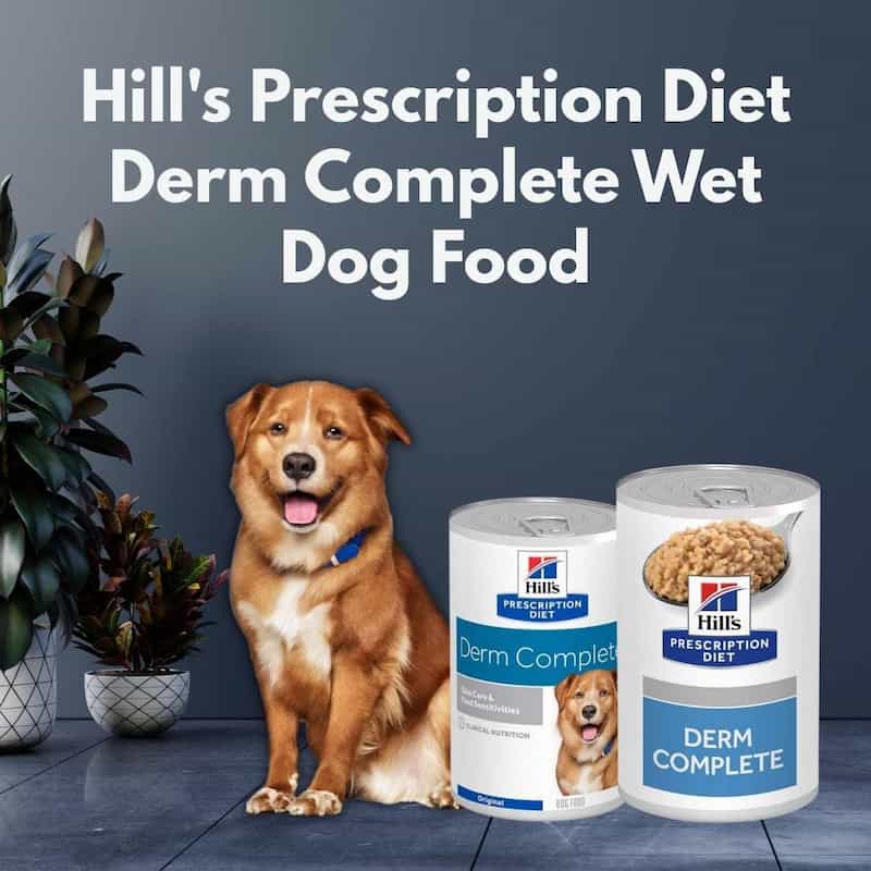 Dog sitting next to two cans of Hill's Prescription Diet Derm Complete Wet Dog Food on a dark background.