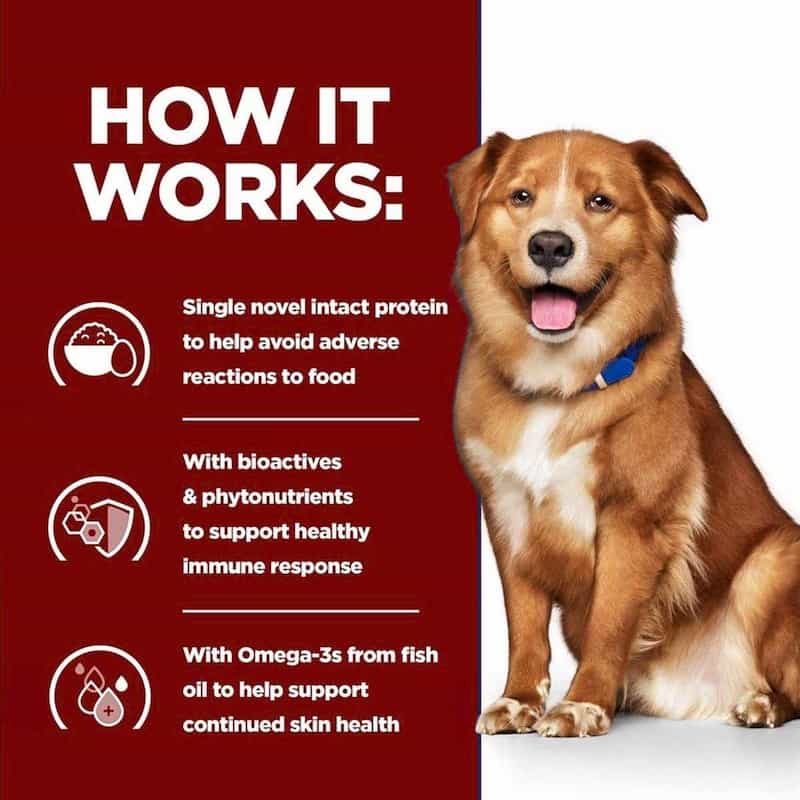 Dog with text explaining a pet food product's benefits on a red and white background