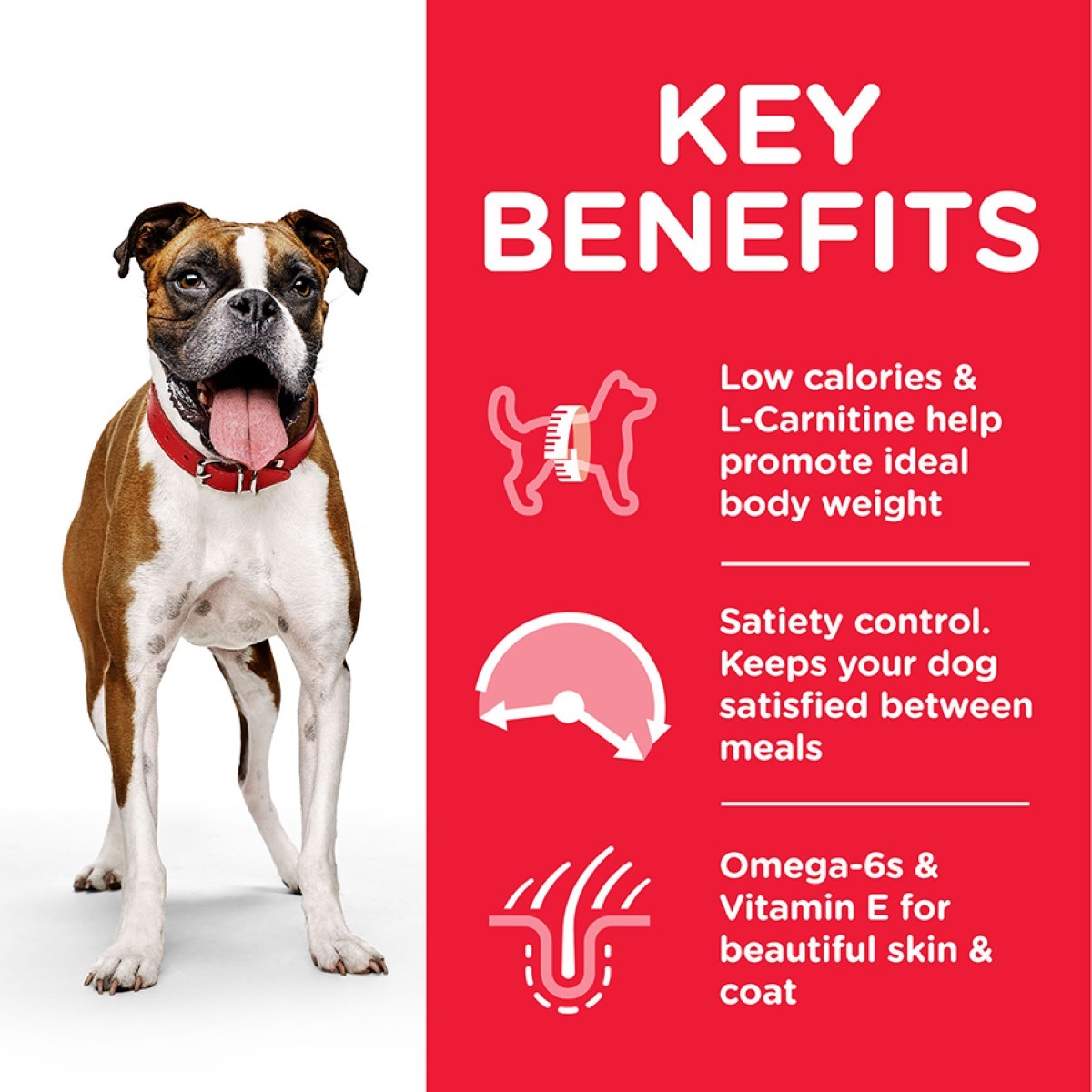 Science Plan dog tins