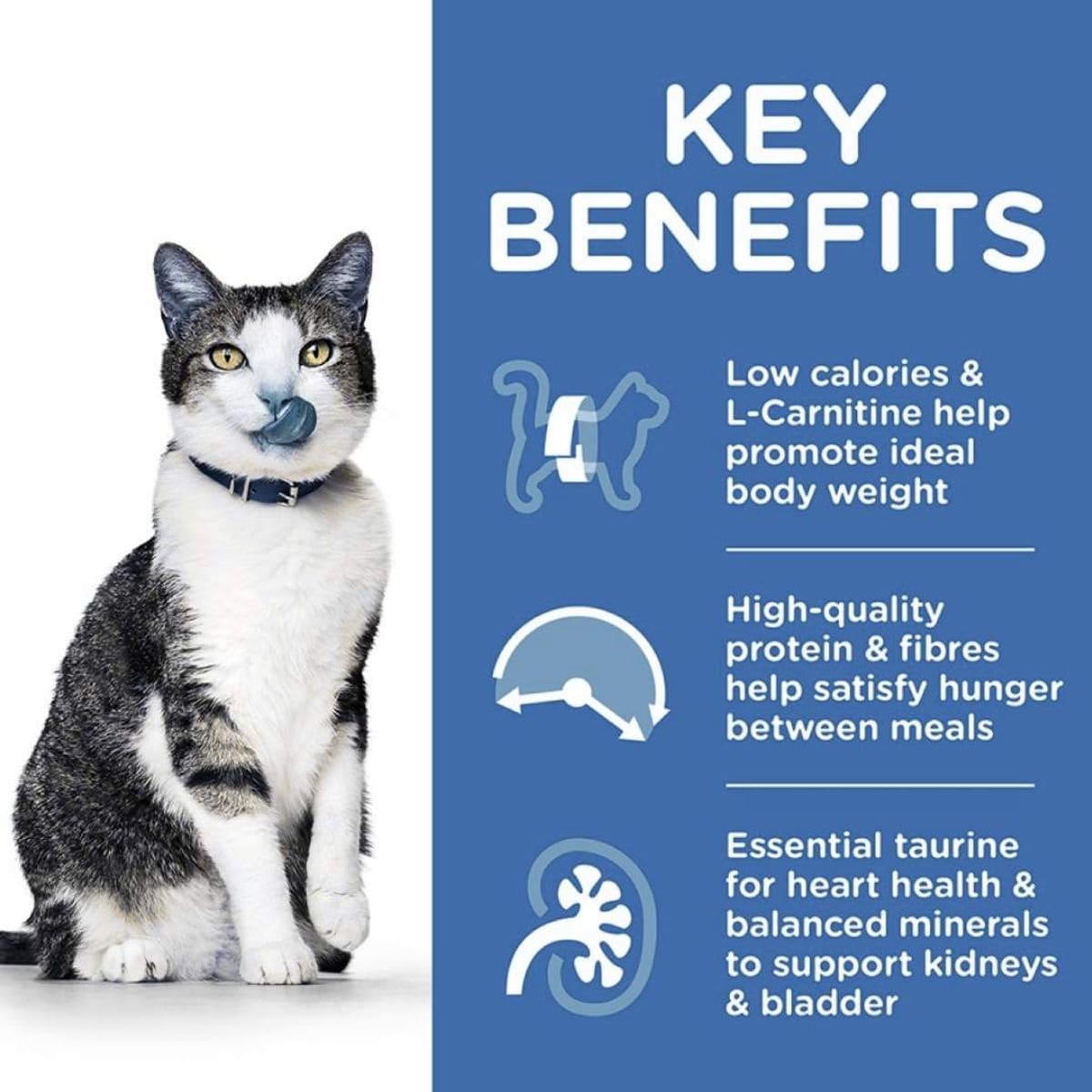 Cat with key benefits text on a blue background