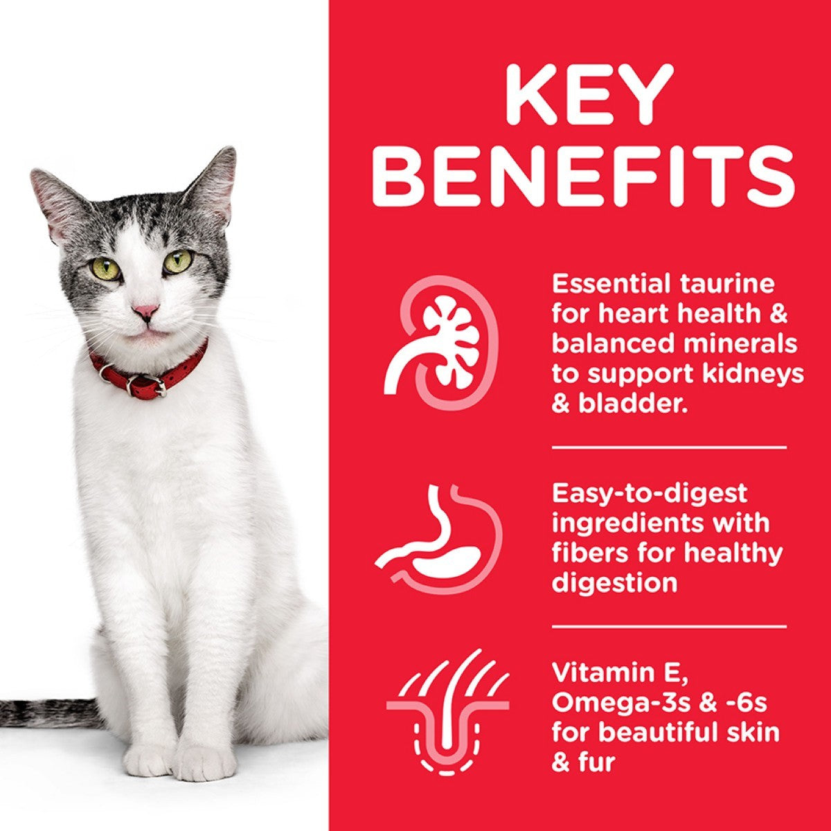 Cat with a red collar on a white background next to a list of key benefits on a red background