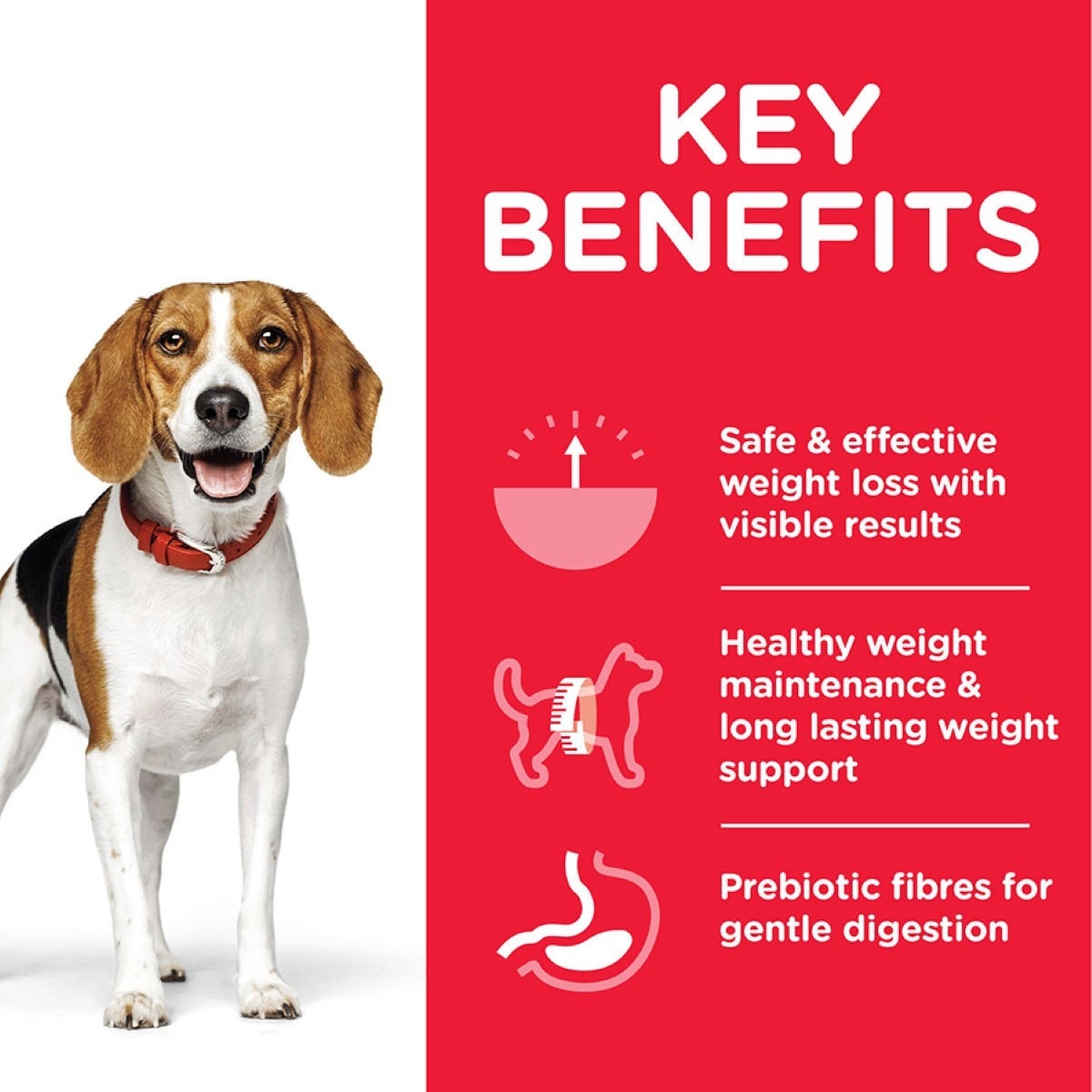Dog with a red background and key benefits text on a white background