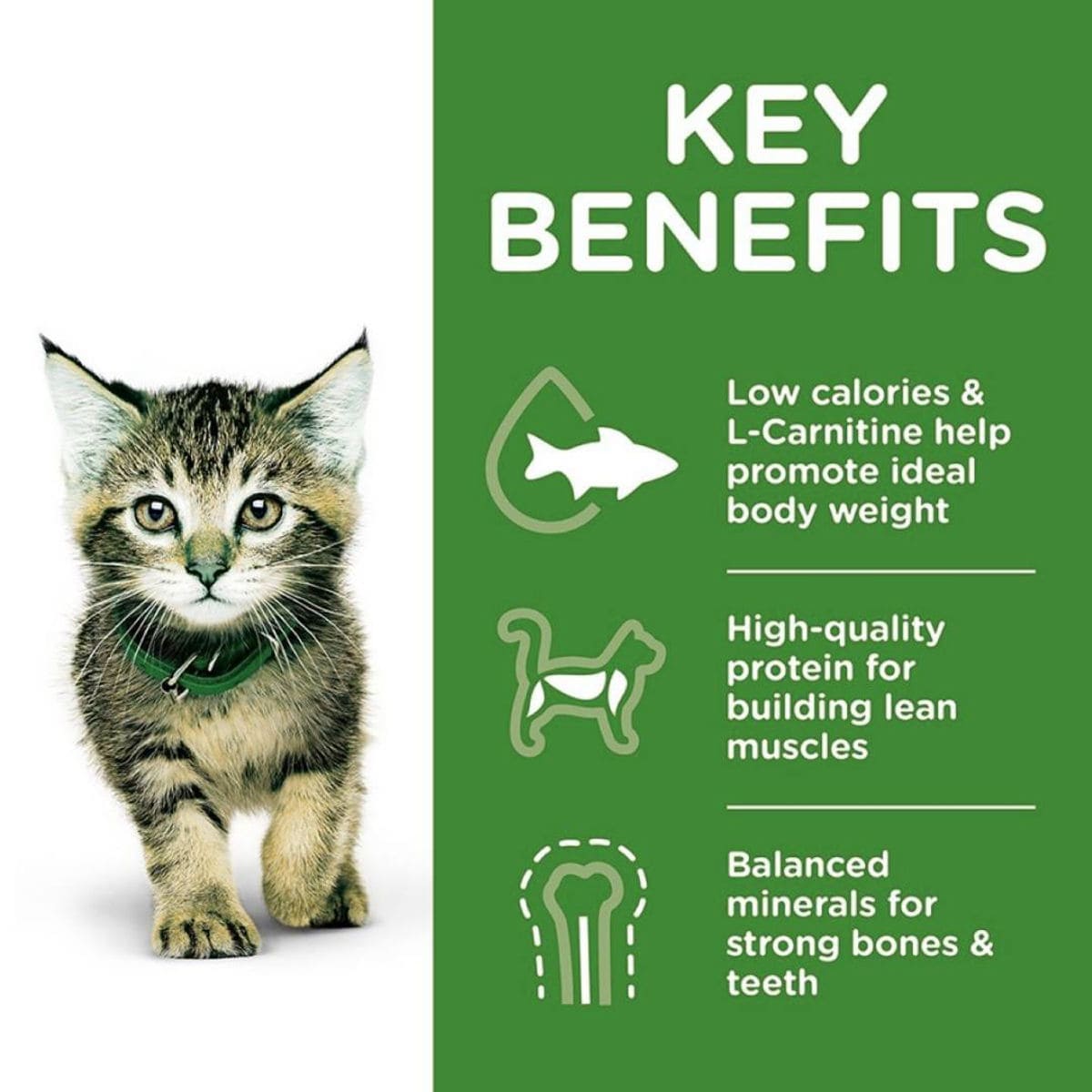 Kitten with key benefits of a pet food product on a green background