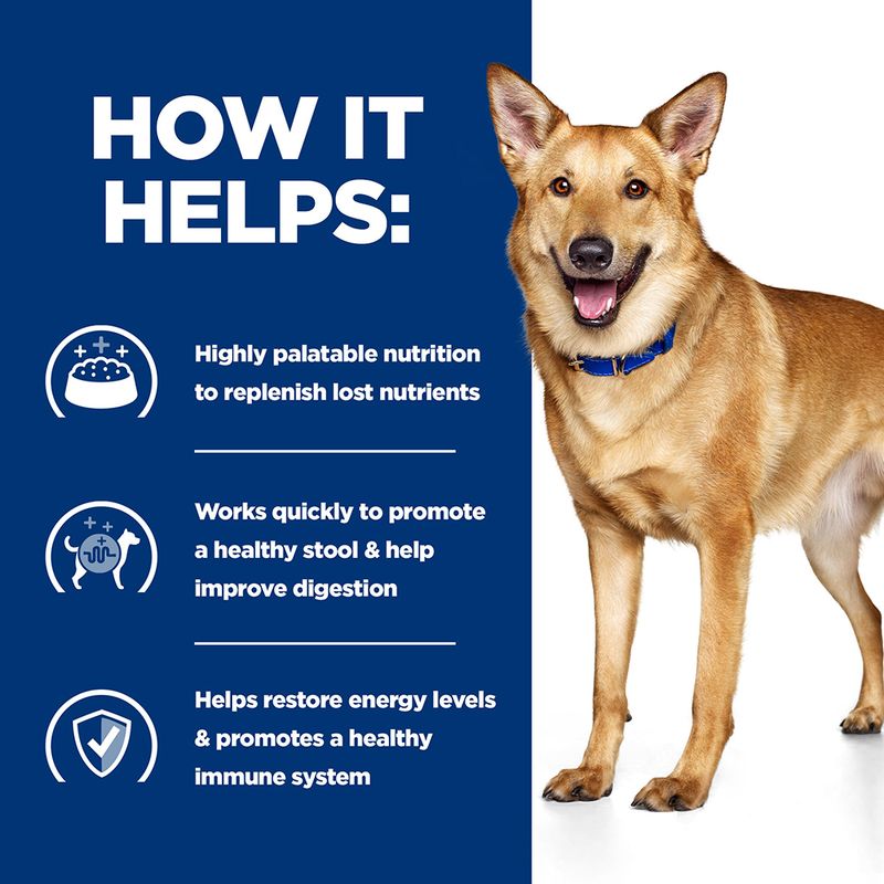 Dog standing next to a list of benefits on a blue background