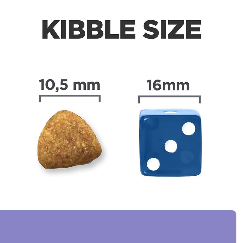 Comparison of kibble size with a blue die showing measurements