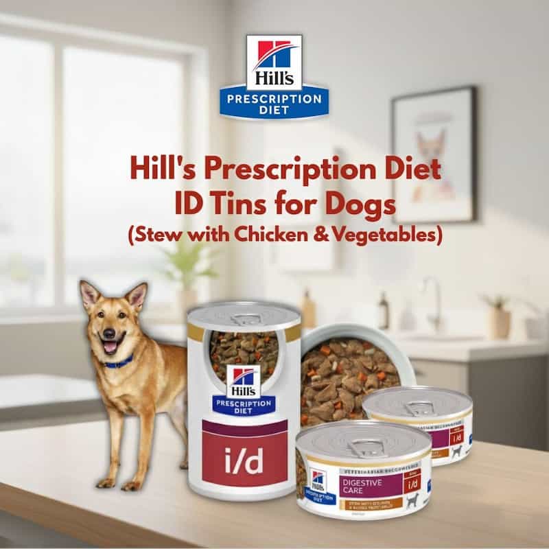 Hill's Prescription Diet ID Tins for Dogs with a dog standing in a kitchen.