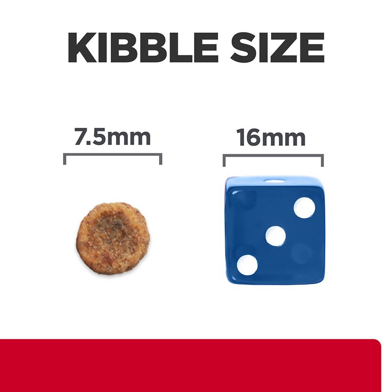 Comparison of kibble size with a blue die showing measurements
