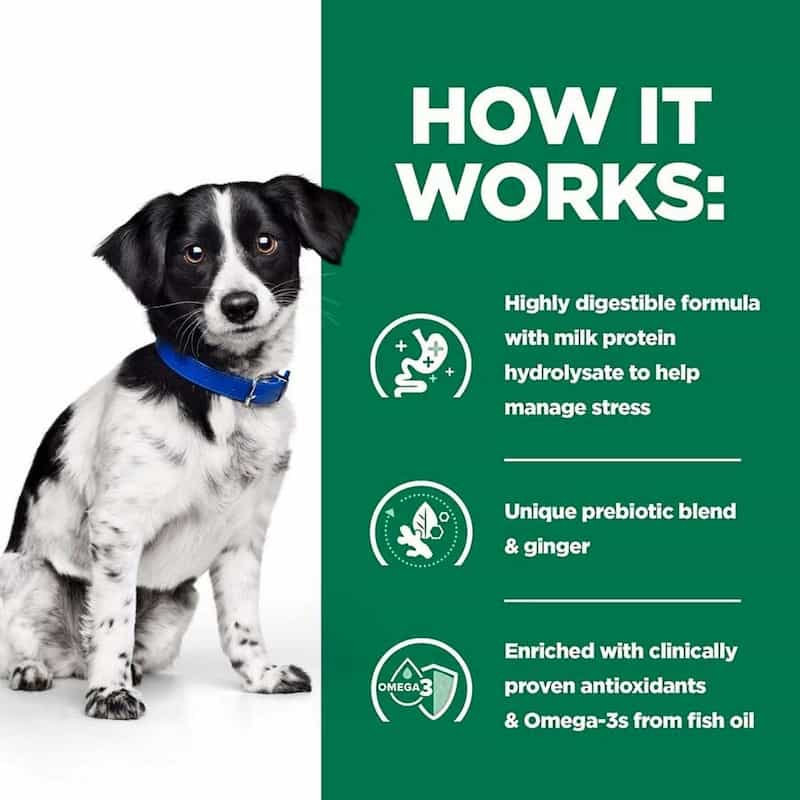 Dog with a blue collar on a white background, next to a green text panel about product features.