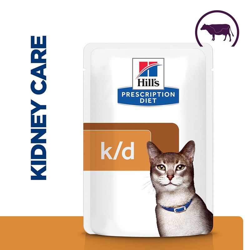 Hills Prescription Diet k/d Kidney Care cat food package on a white background