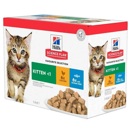 Science Plan kitten nutrition