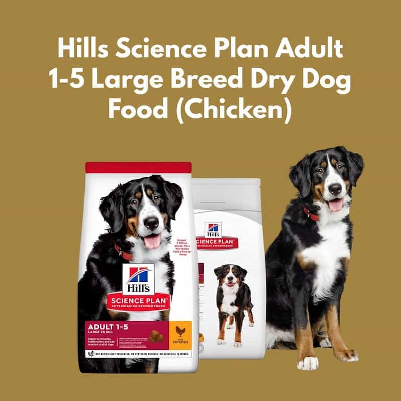 Hills Science Plan Adult dog food packaging with a dog on a gold background