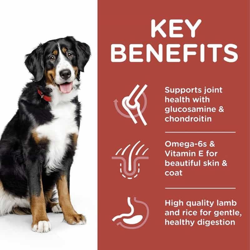 Dog with key benefits of a pet food product on a red background
