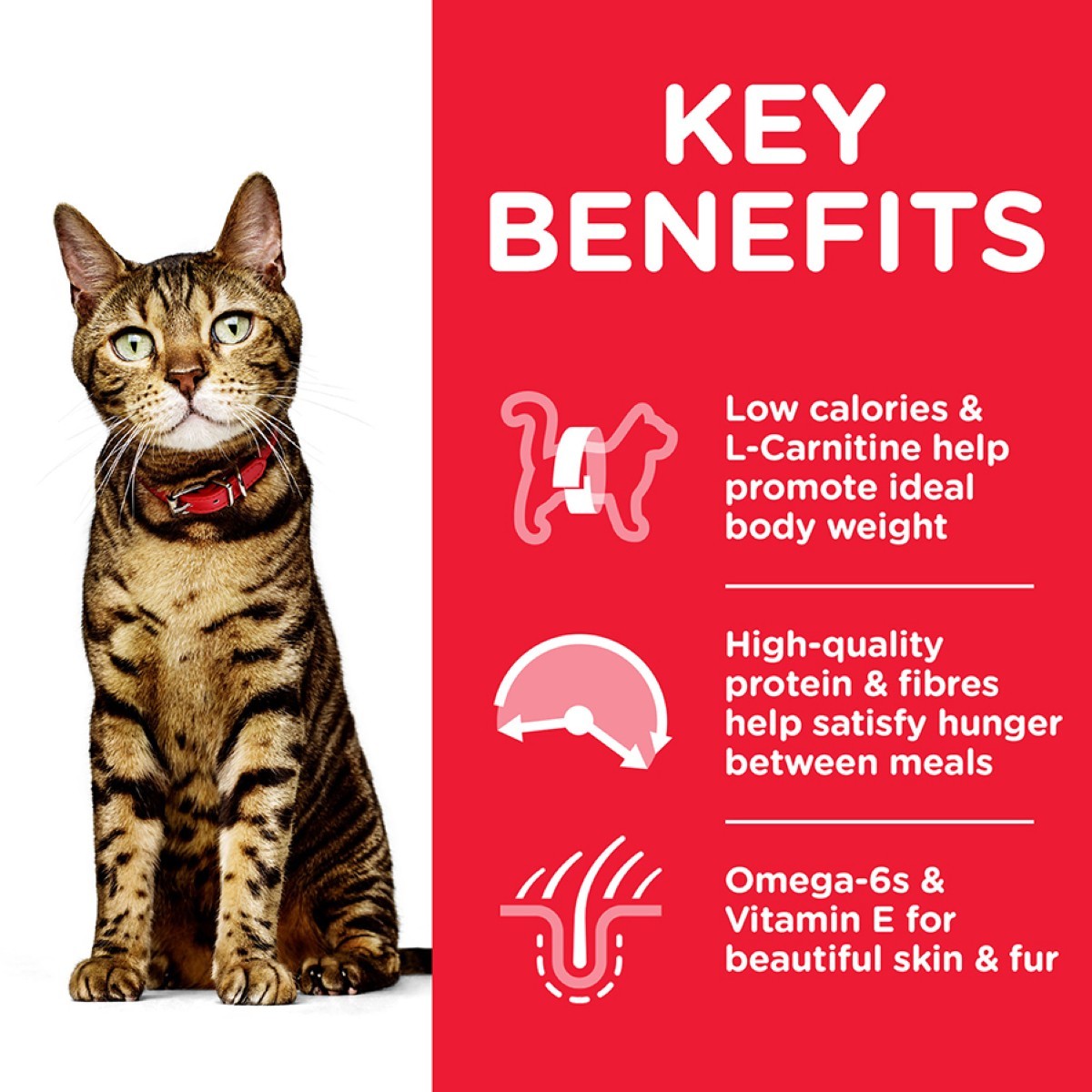 Weight control cat tuna