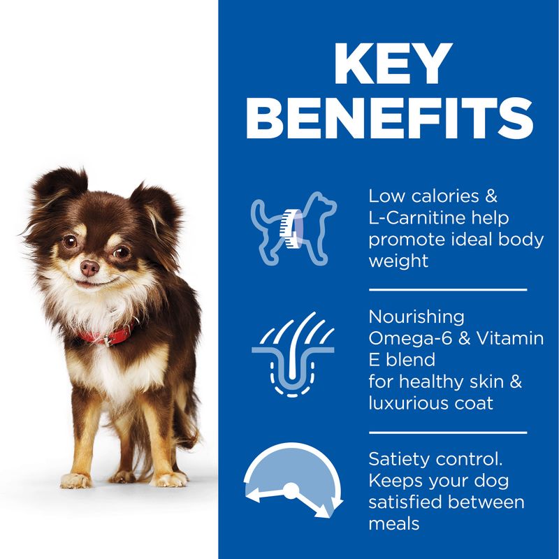 Dog with key benefits listed on a blue background