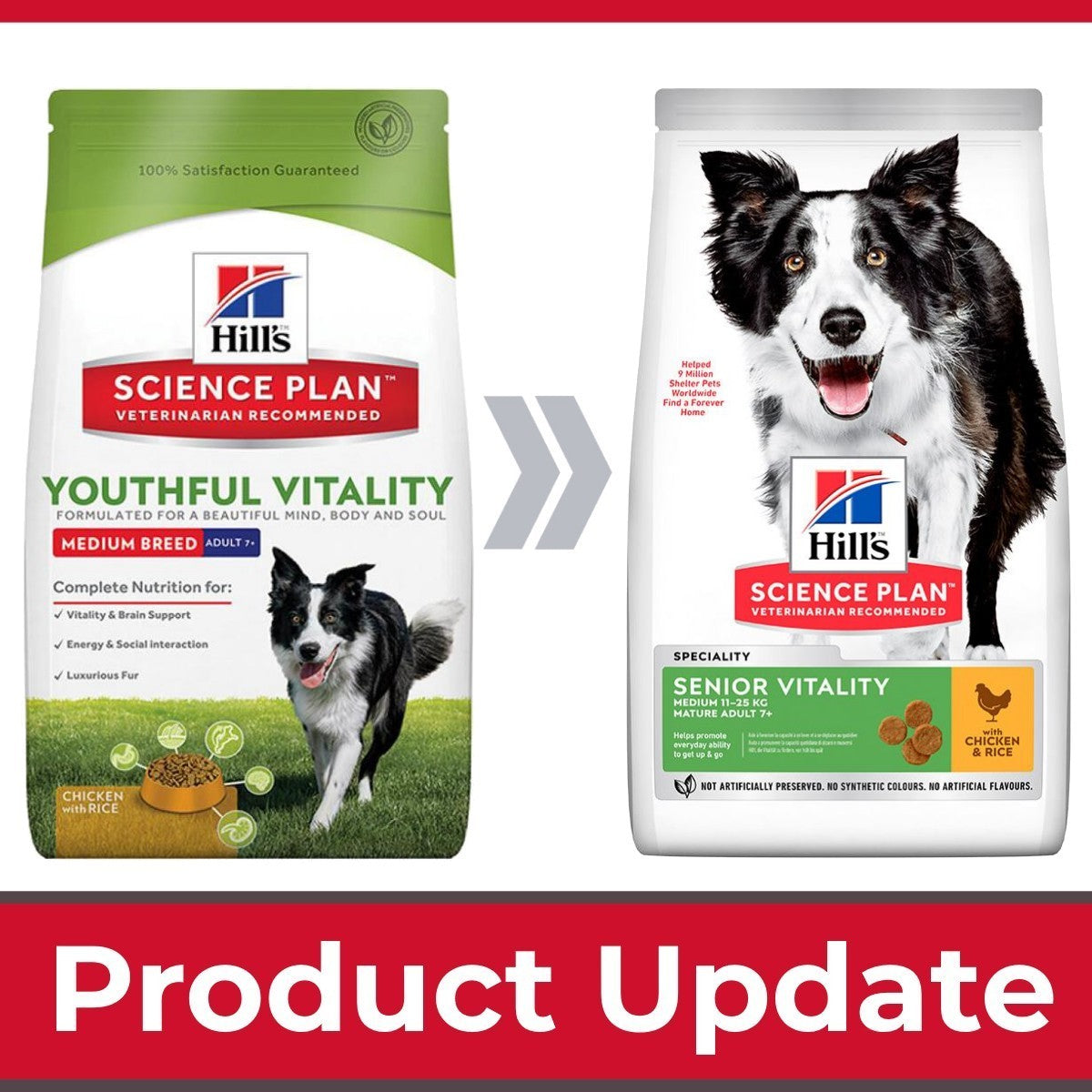 Two Hill's Science Plan dog food packages with a border collie on a white background.