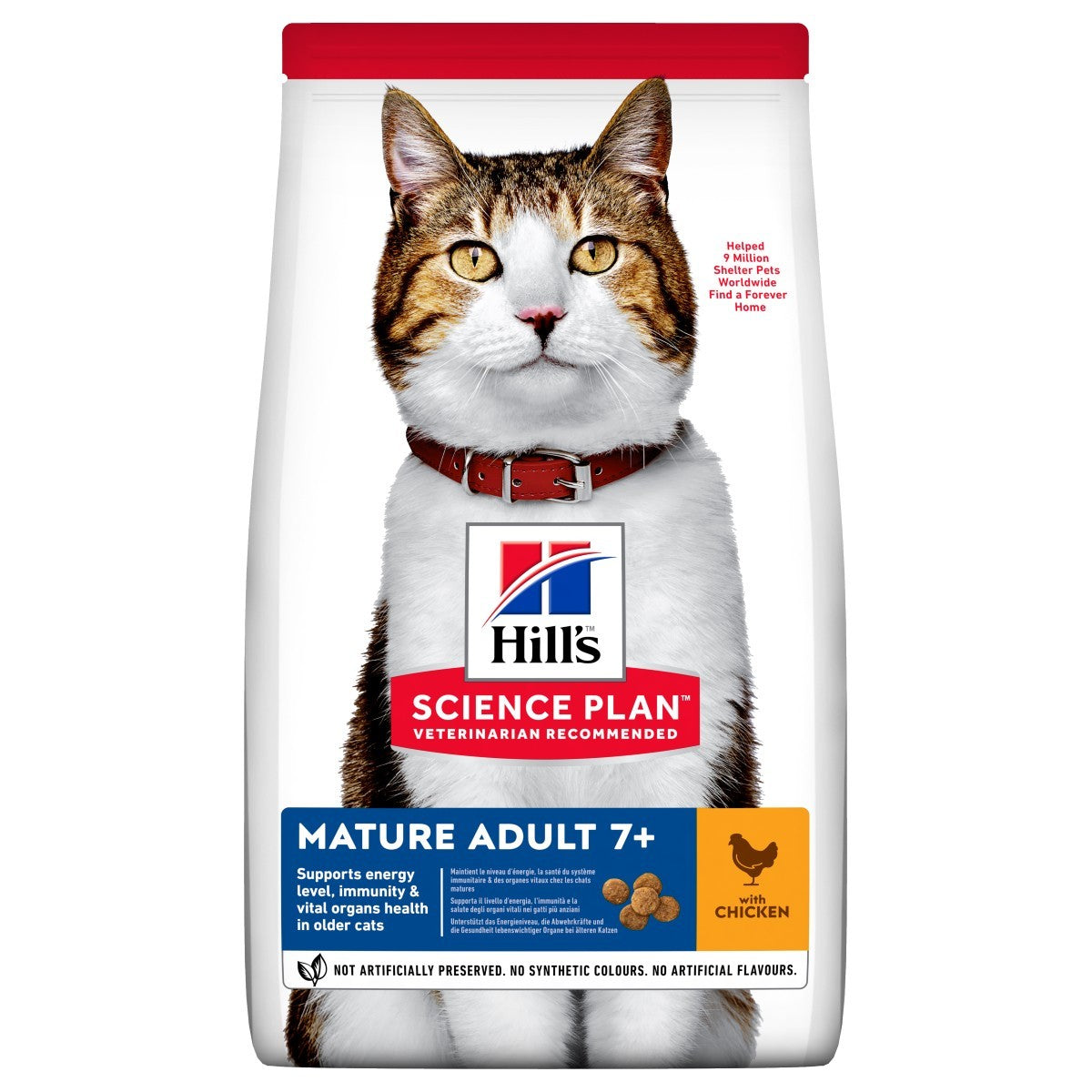 Hill’s senior cat chicken