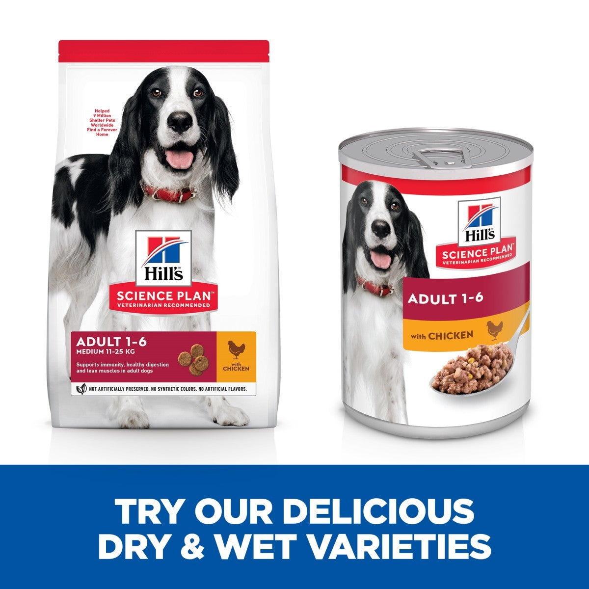 Medium breed canned food