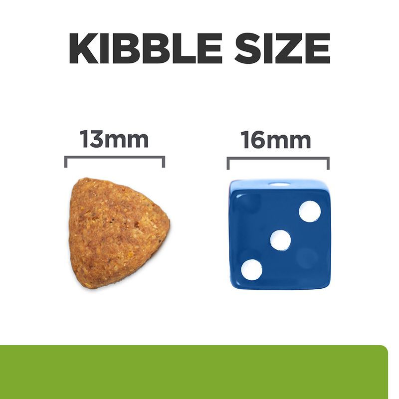 Comparison of kibble size with a blue die showing measurements on a white background