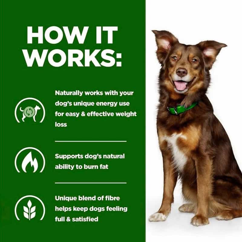 Dog wearing a green collar with text on how it works for weight loss on a green background