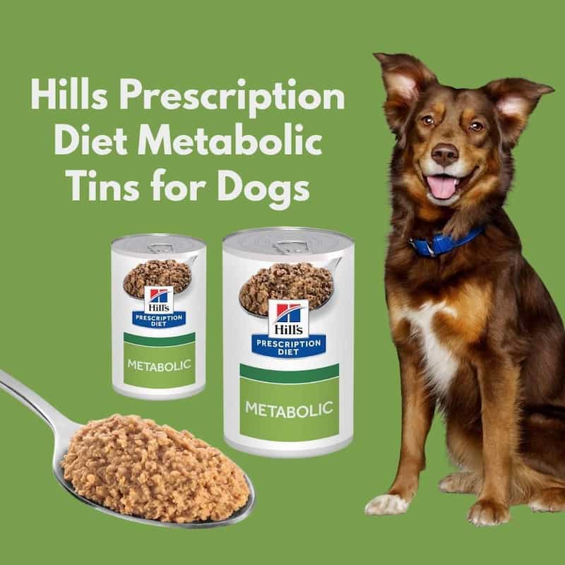 Hills Prescription Diet Metabolic Tins for Dogs with a dog and food on a green background
