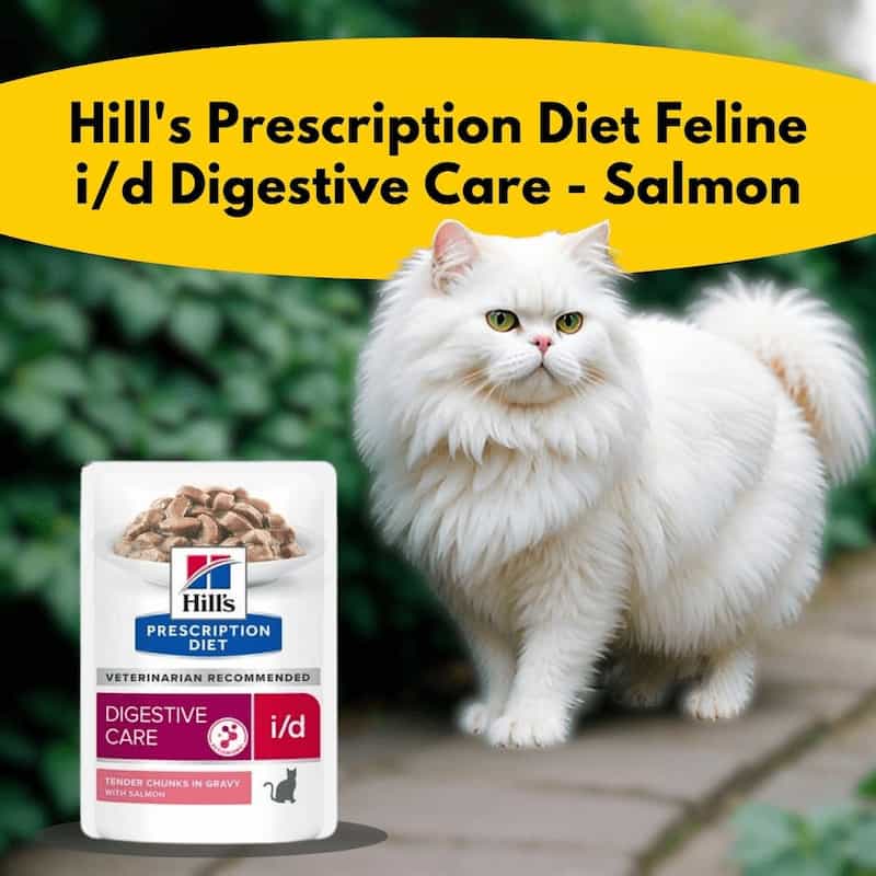 White cat standing next to a bag of Hill's Prescription Diet Feline i/d Digestive Care Salmon food.