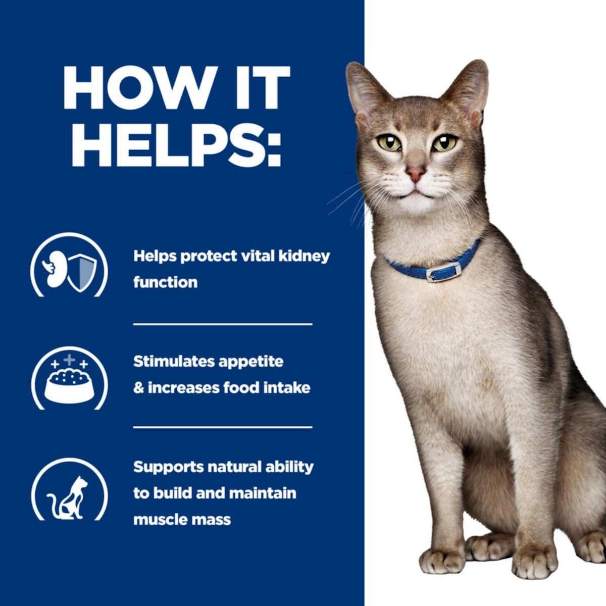 Prescription cat food pouches