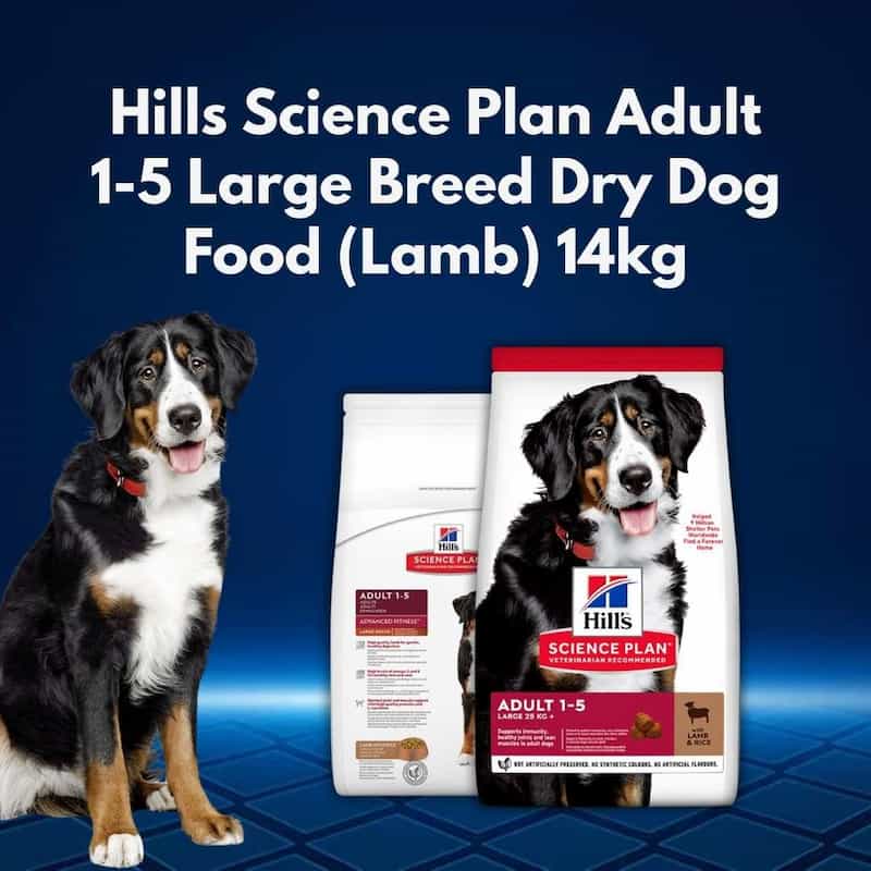 Premium lamb protein helps your dog stay fit and muscular