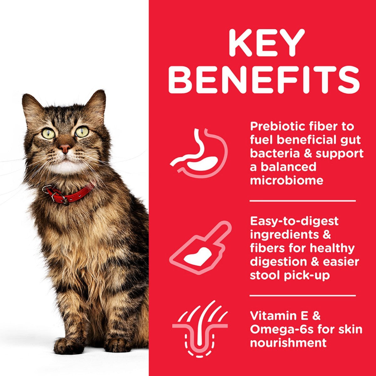 Cat with a red background and key benefits text on a white background
