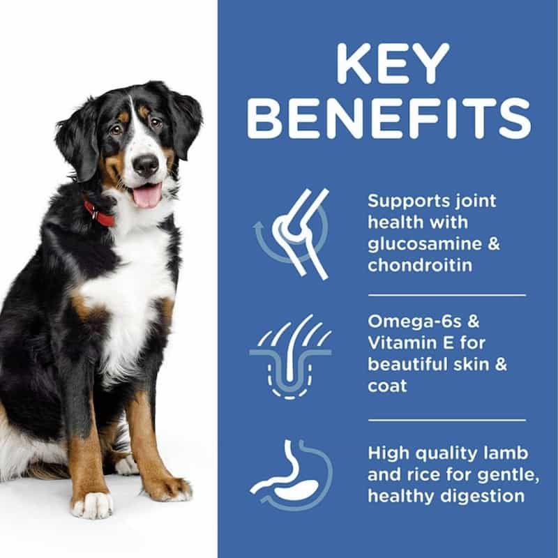 Kibble designed just right for larger mouths no more struggling with tiny pieces