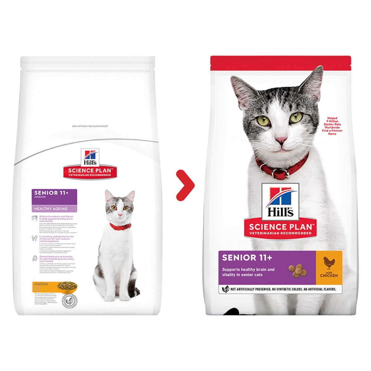 Two bags of Hills Science Plan senior cat food on a white background