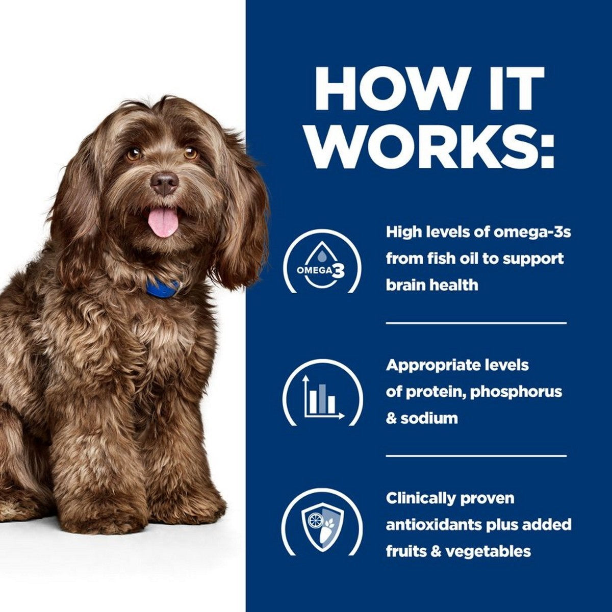 12kg b/d dog food for cognitive health