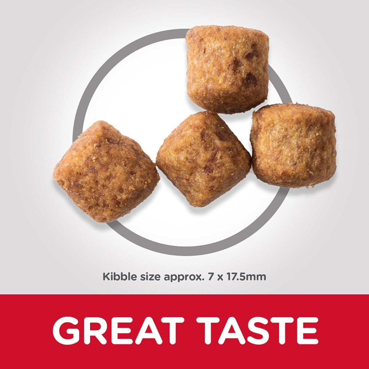 Dog kibble cubes with 'GREAT TASTE' text on a gray background