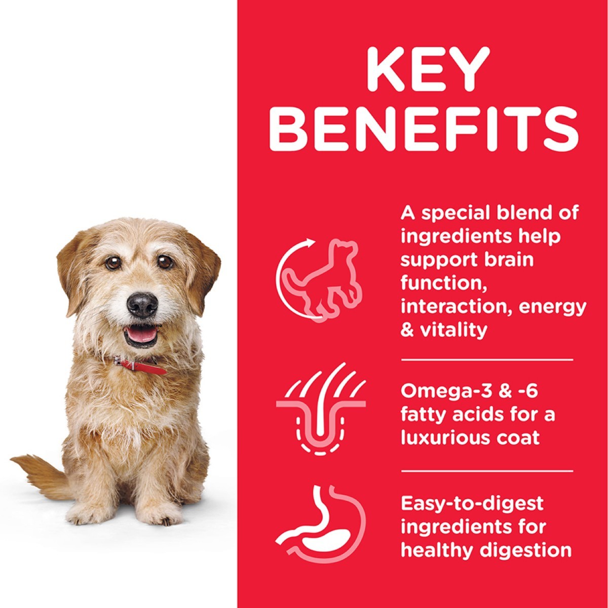 Dog with key benefits text on a red background
