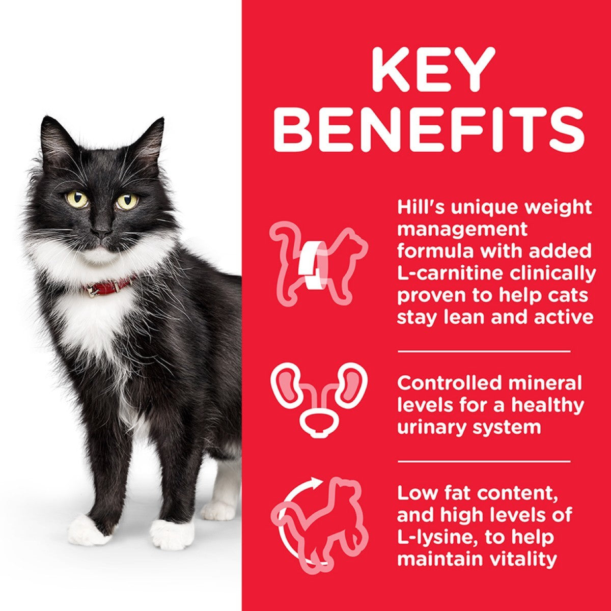 Cat with key benefits of Hill's weight management formula on a red background